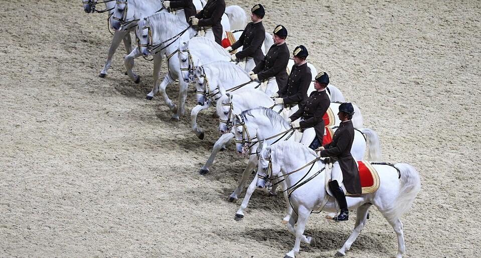 白马骑士在英国演绎古典盛装舞步 - 风花雪月 - 龙的天空lkong.net - 龙空