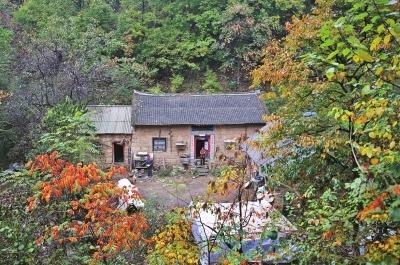 洛阳夫妻隐居深山洞口进出 演绎现代版桃花源