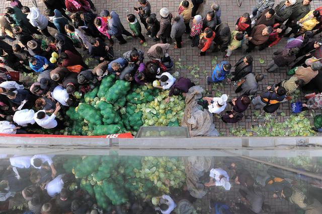 企业购买20吨滞销蔬菜免费发放 千余市民争领