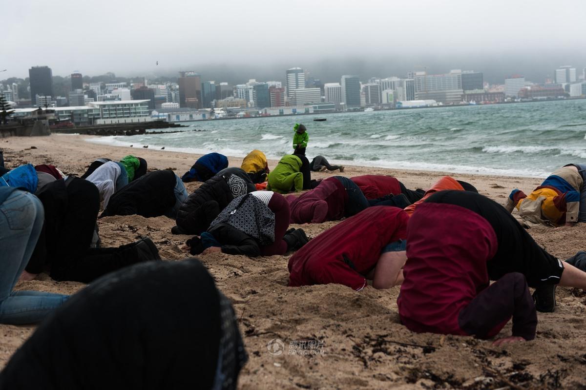 文章配图