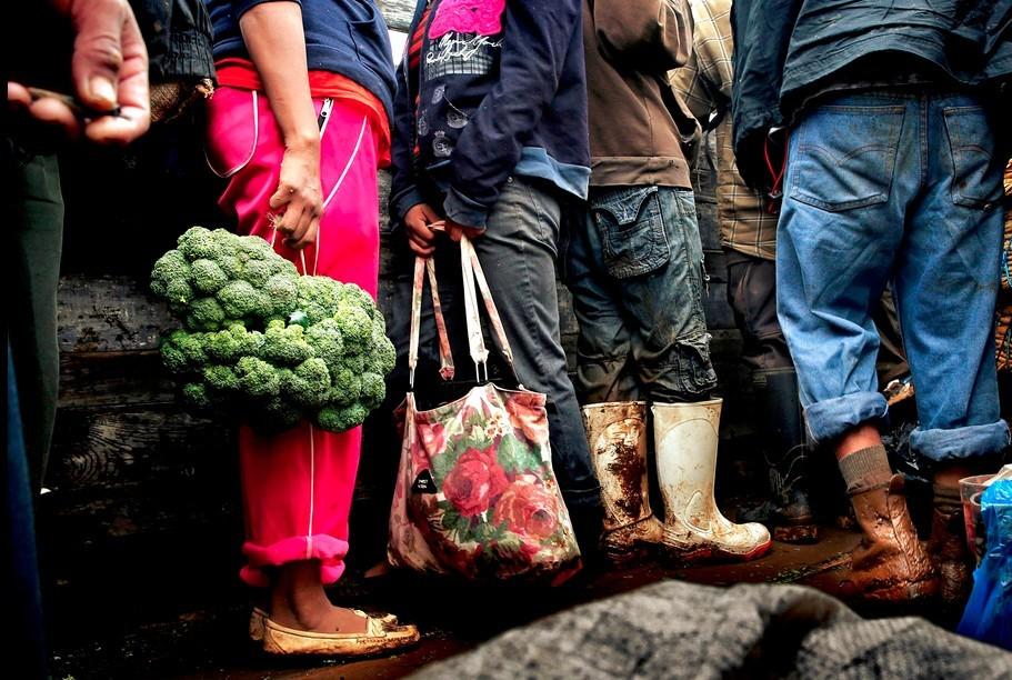 组图:实拍专供美国蔬菜墨西哥种植园:工作条件