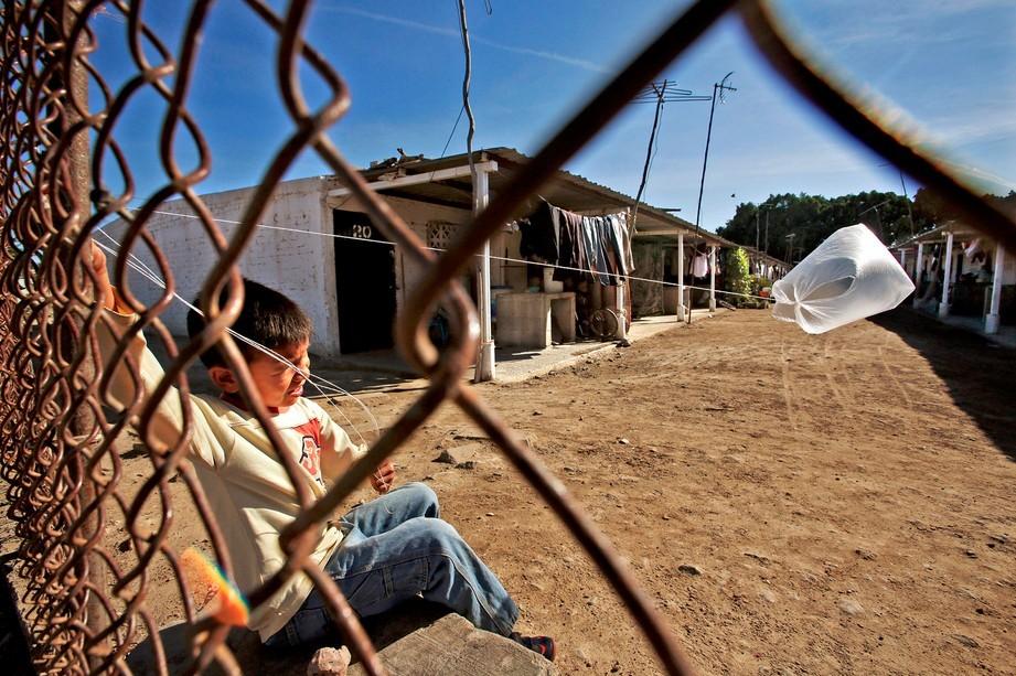 组图:实拍专供美国蔬菜墨西哥种植园:工作条件