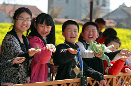 崇明一农场拿出150亩地 招募500家庭一起种菜