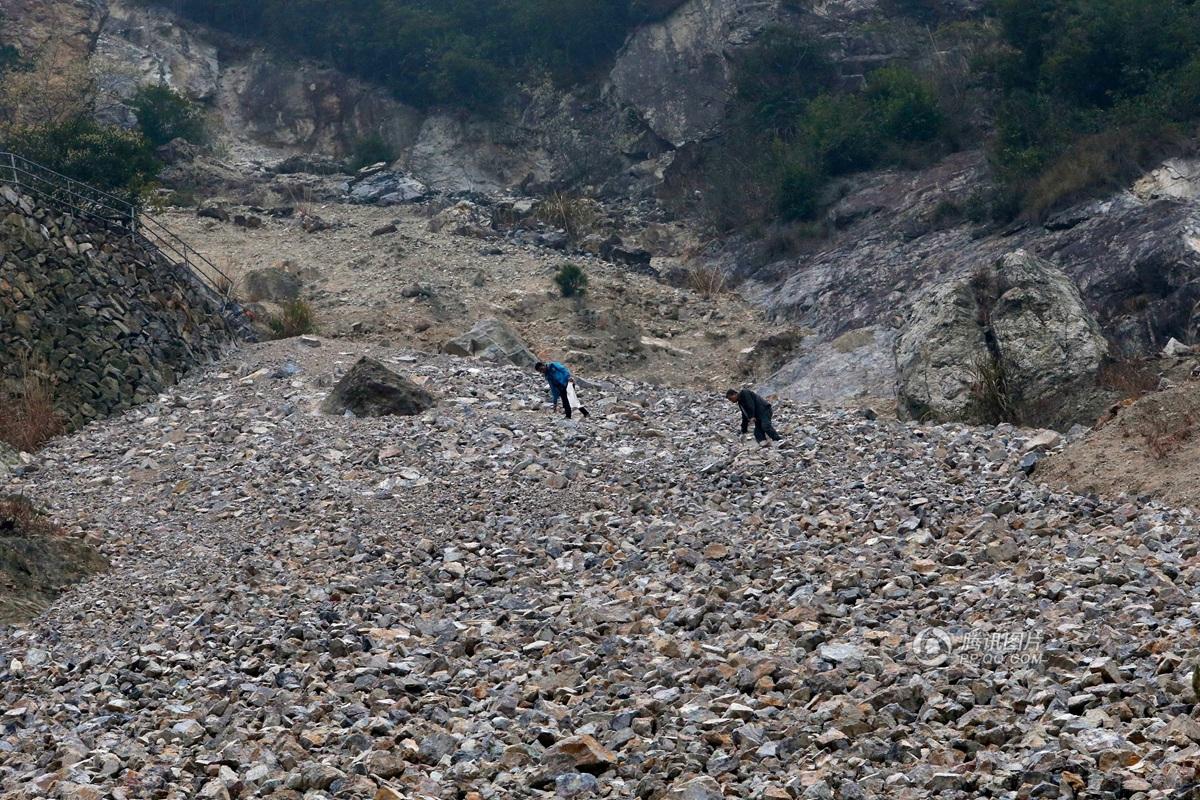 12月25日经济半小时_经济半小时 20141225 聚焦土地流转 四(3)