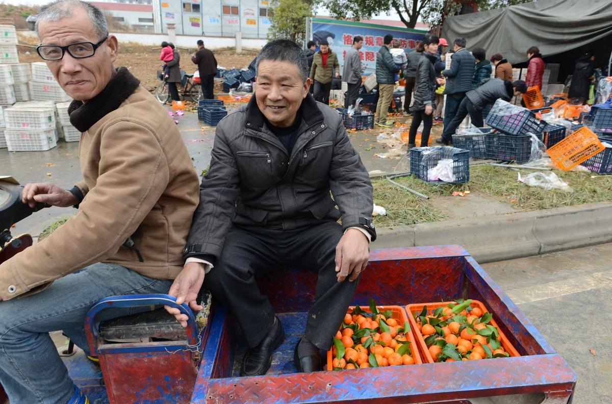 文章配图