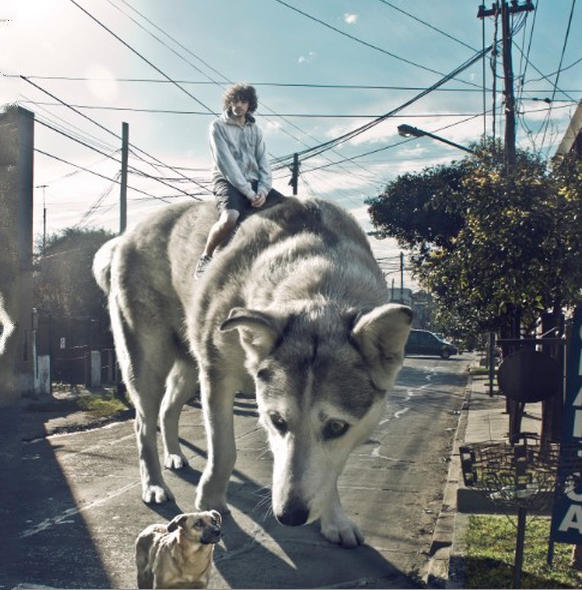 文章配图