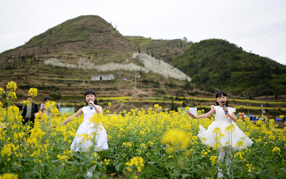青田小舟山 油菜花里开音乐节