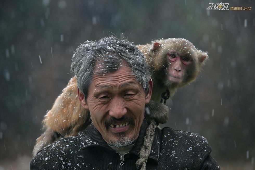 农民种地图片_种地收入(3)