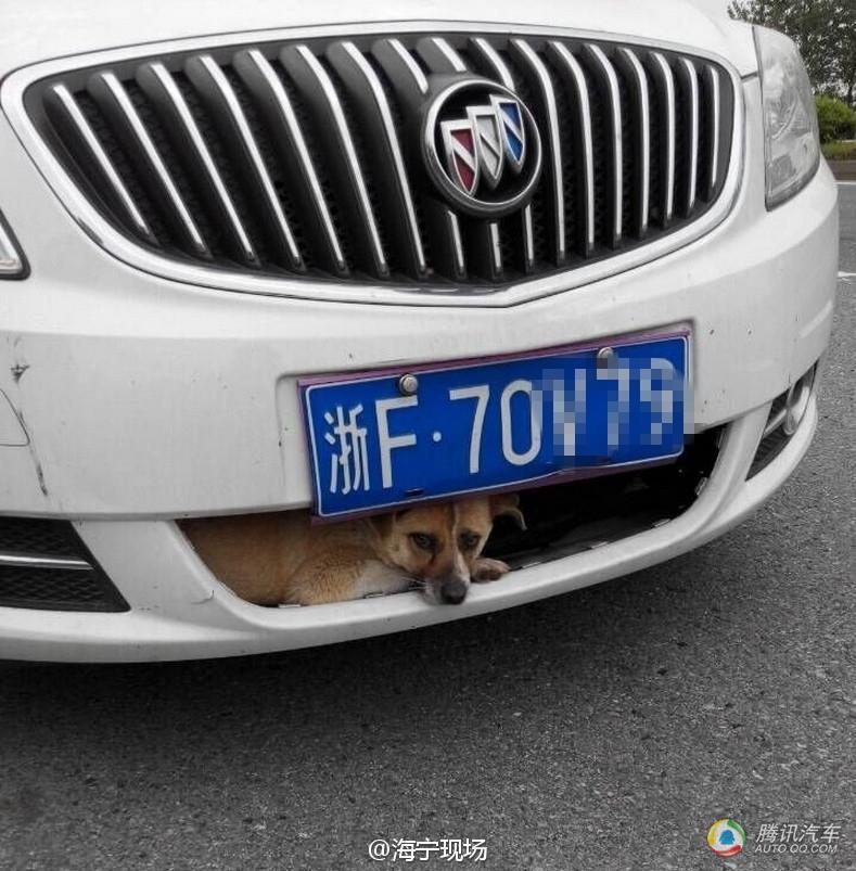 有火灾报警消防队不出警我怎样投诉