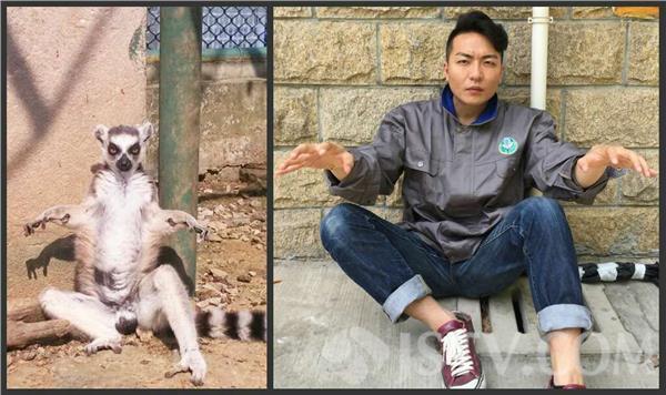 呆萌搞笑:南京红山动物园饲养员模仿动物拍照