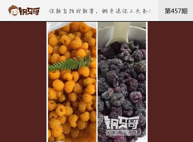 钢牙真人秀：我对水果不得不说的爱