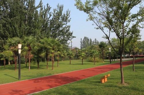 推荐地二:山顶运动穹窿别墅山苏州城市公园图片