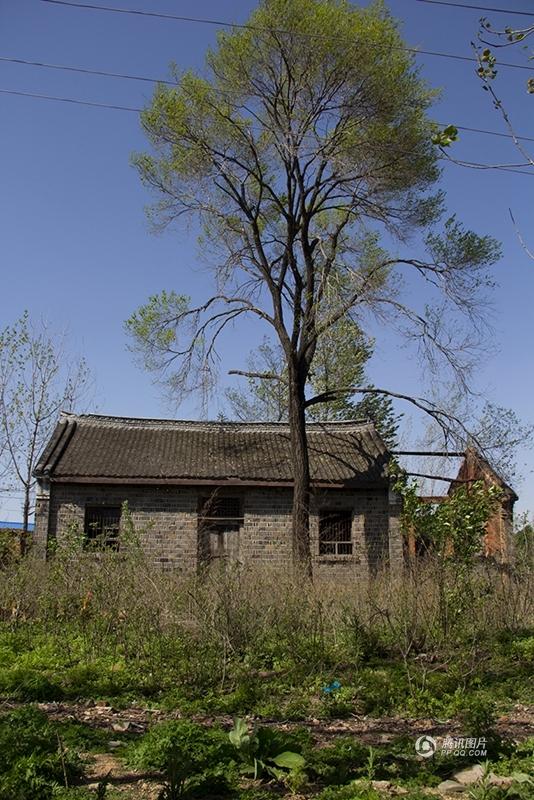 莫斯科人均绿地面积_人均土地面积