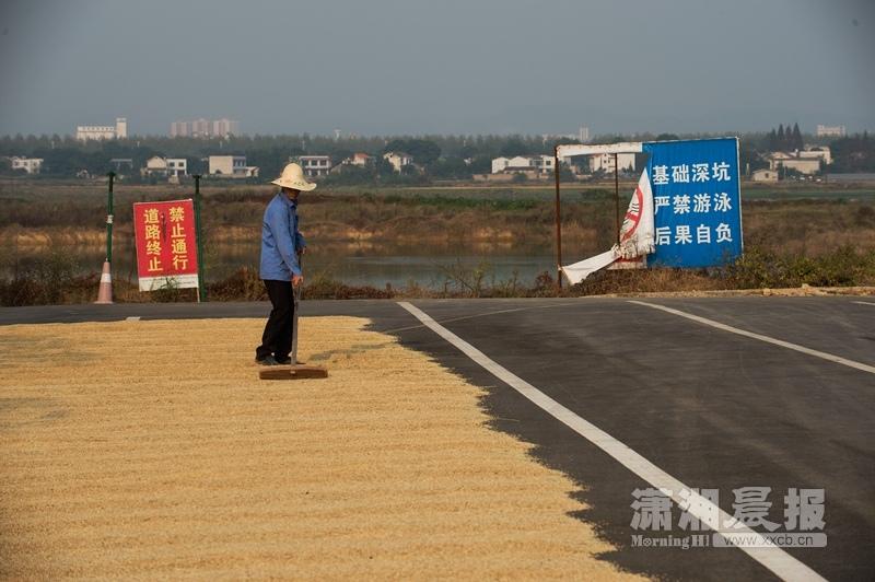 一亩三分地耽美_一亩地粮食收入