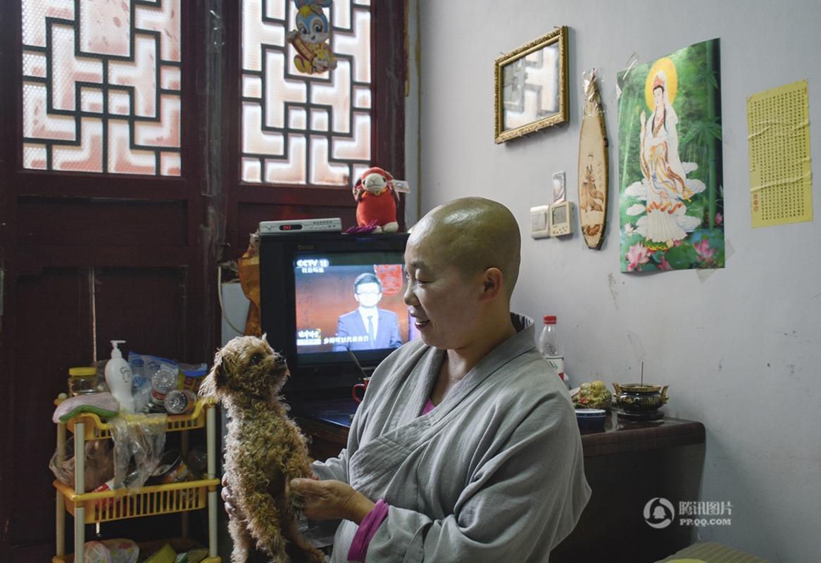 【中国人的一天】修行女居士