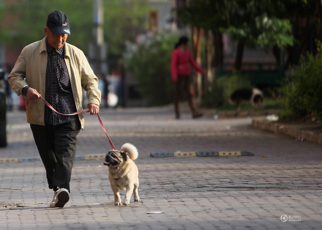 平时,于兴亭每天早上六点都要出门遛爱犬,他养狗已经十年,与爱犬感情