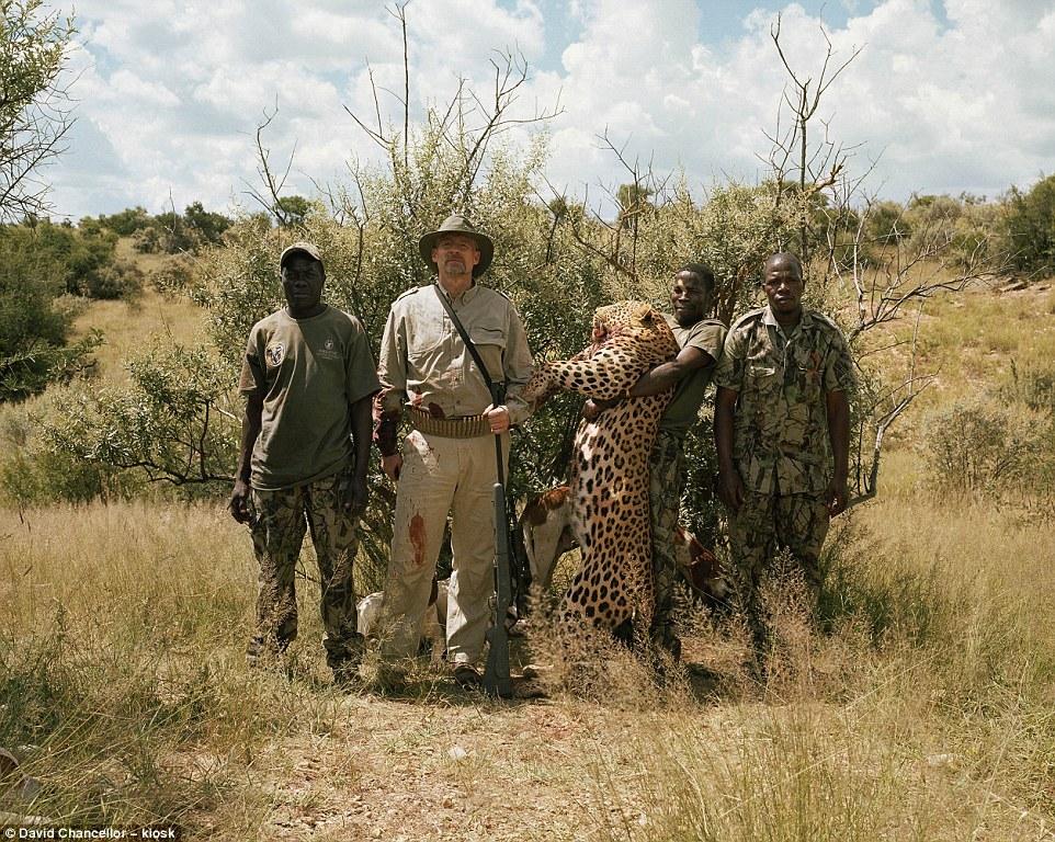 血腥非洲狩猎游戏 少女徒手杀雄鹿