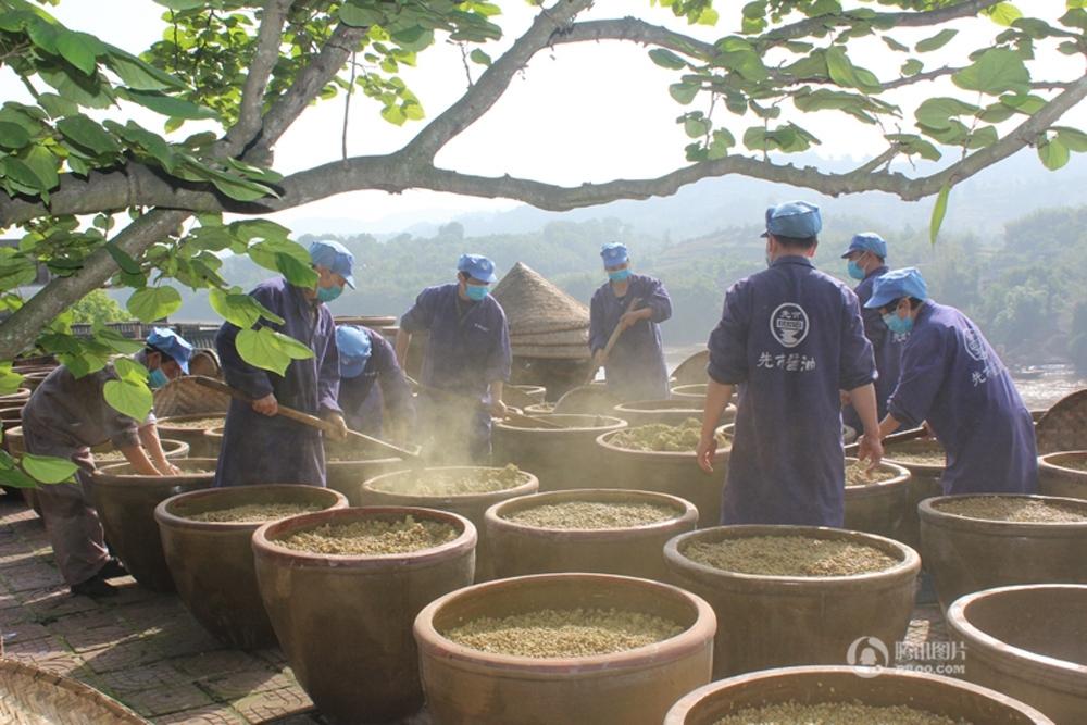 四川现存百年酱油酿造作坊 用6000口缸晒露