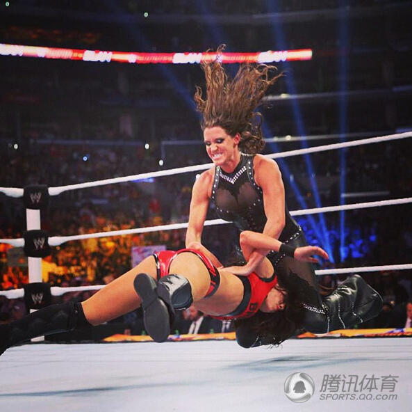 wwe老总_wwe老总西装图片(3)