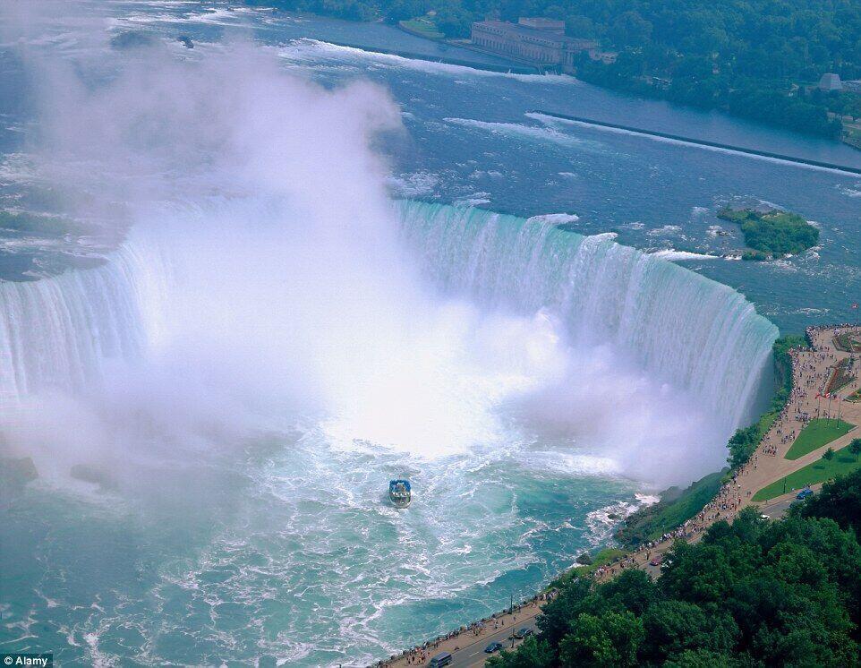 13504083_980x1200_0.jpg