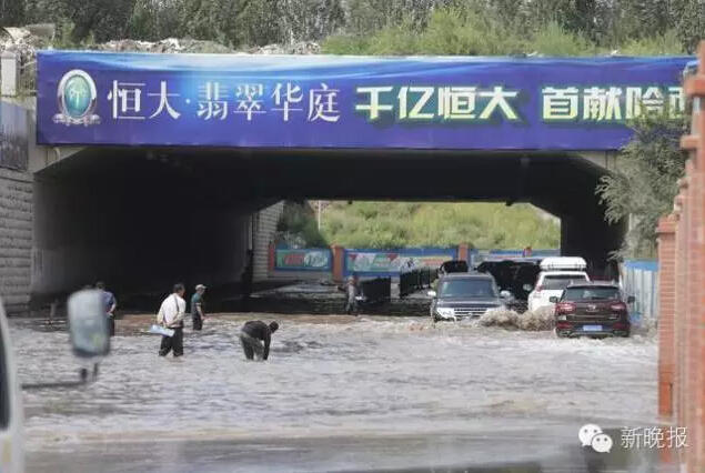文章配图