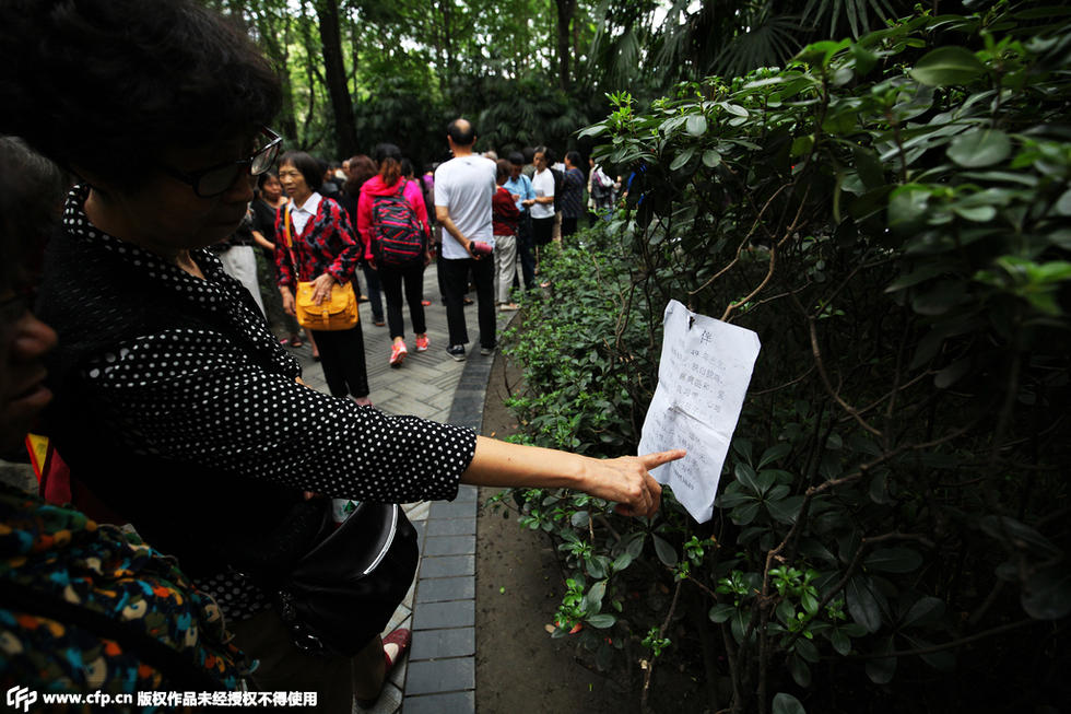成都人民公园相亲角.-成都人民公园相亲父母成主角 场面壮观如赶集图片 133398 980x653