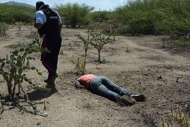 揭秘墨西哥头号女毒枭:涉嫌180起谋杀案