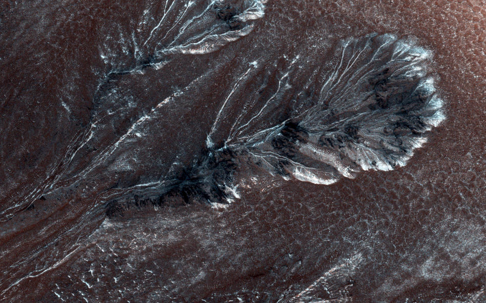 13846977_980x1200_0.jpg
