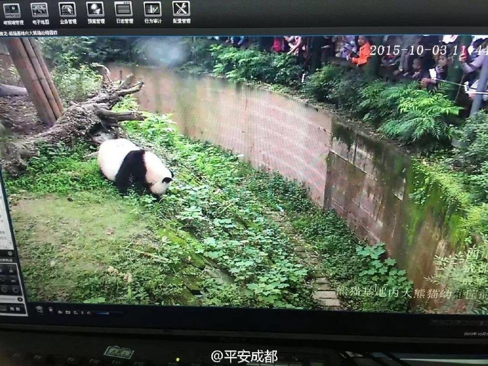 文章配图