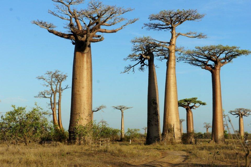 出国旅行最便宜的8个国家 真心都是白菜价啊!