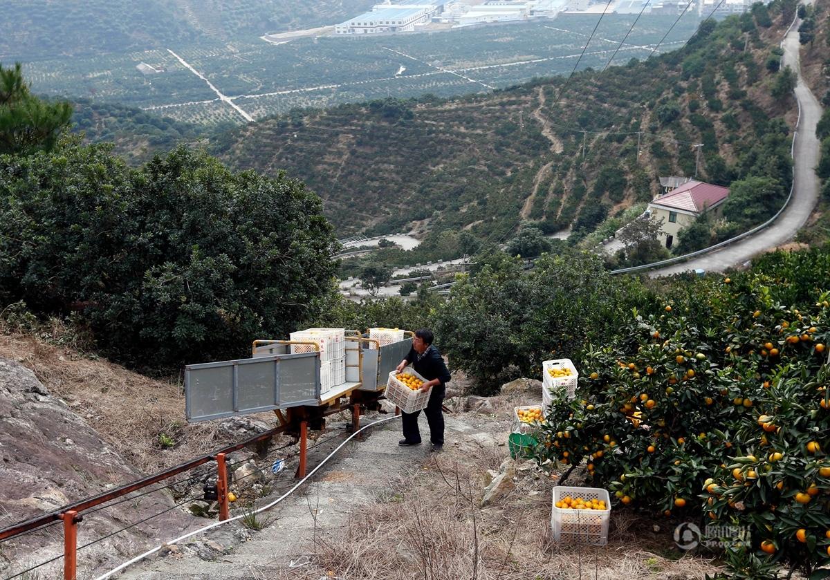 浙江临海果园建运输轨道 水果坐"过山车"_车主论坛_壹