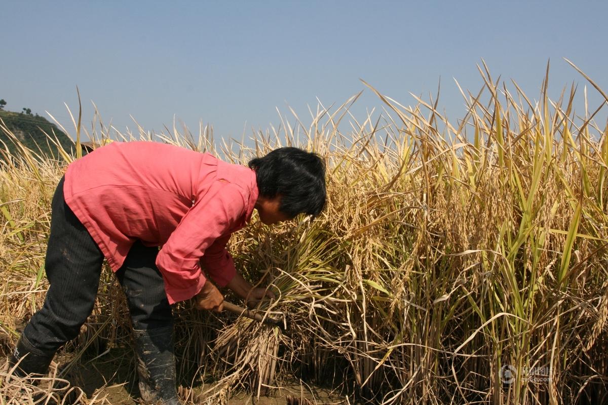 摄影师11年间记录32组山区农村人的生活(高清图)