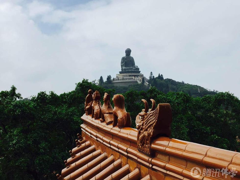 深圳福田口岸到香港宝莲禅寺(大屿山)怎么走?
