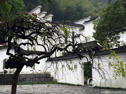 文章配图