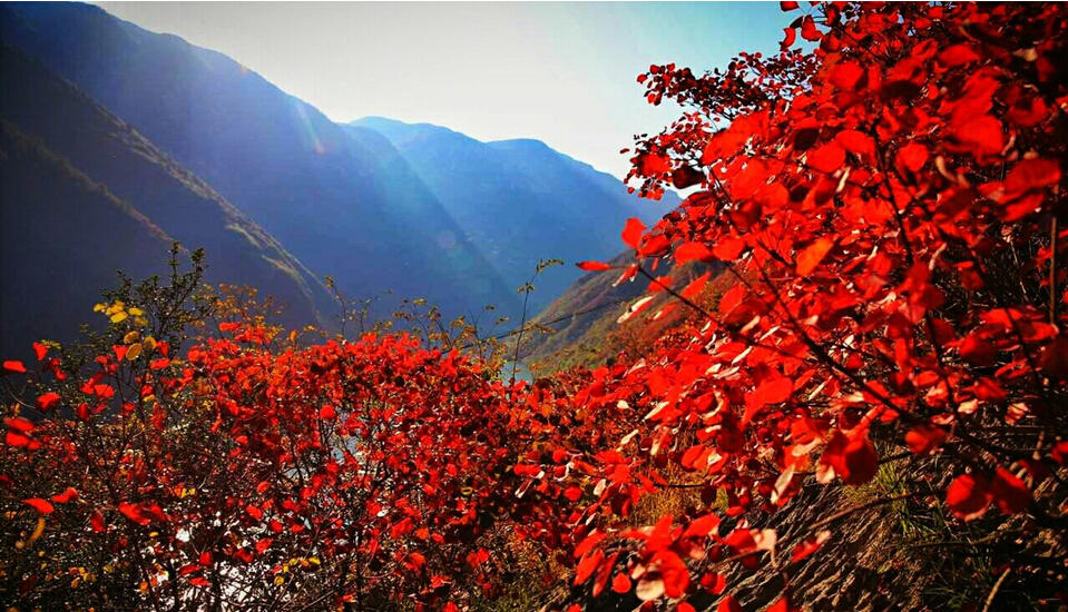 三峡旅游职业技术学院_三峡旅游收入(2)