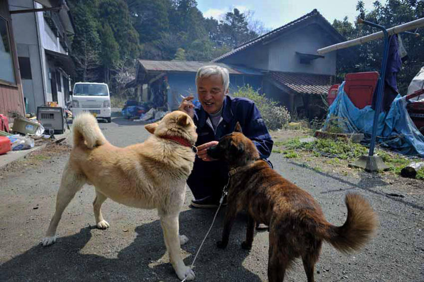 日本男子独自留在福岛核禁区照顾遗弃动物(组图)