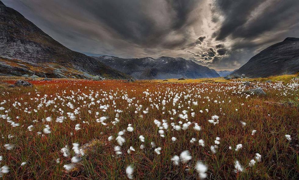 挪威的森林_挪威国民收入