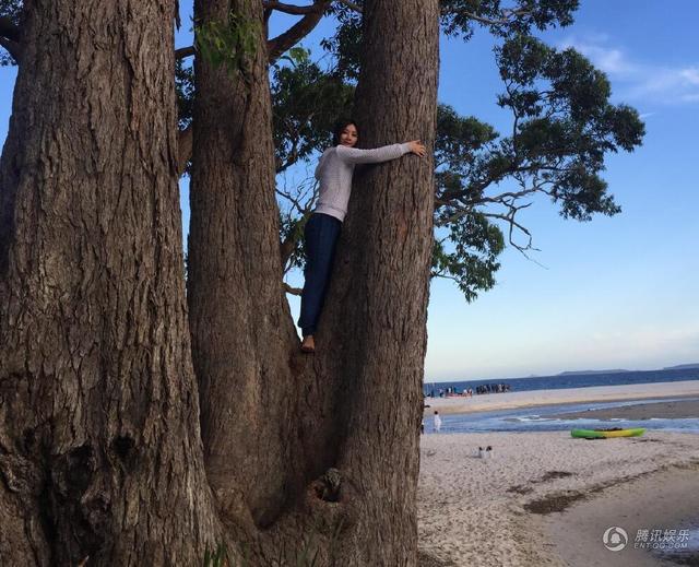 组图: 柳岩晒澳洲工作照  包裹严实造型清纯可爱