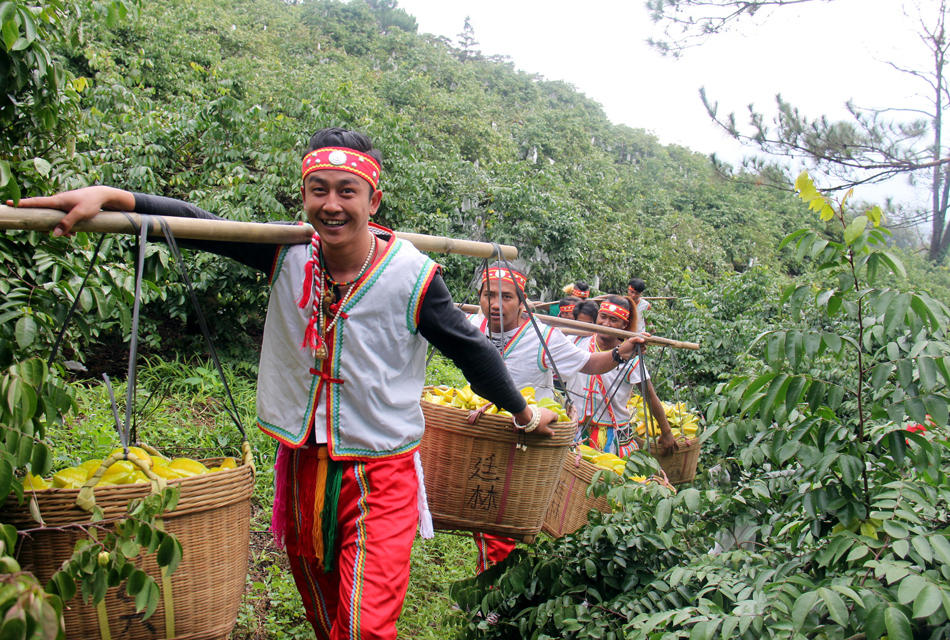 台湾小伙求婚清远姑娘 用千斤杨桃做聘礼,热门