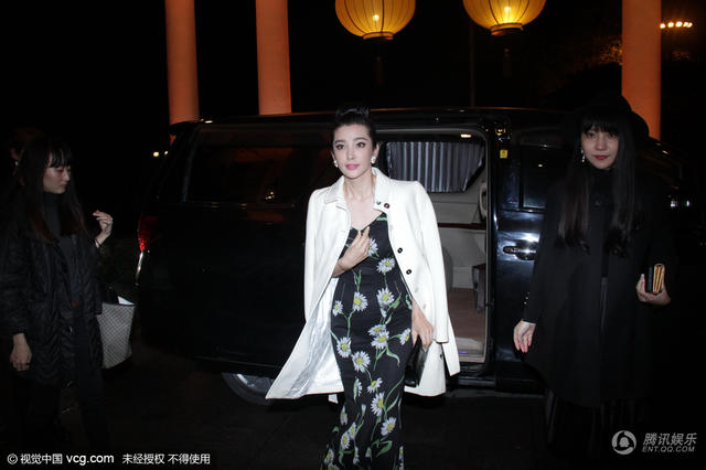 李冰冰着印花长裙 端庄优雅御姐范儿十足(组图)