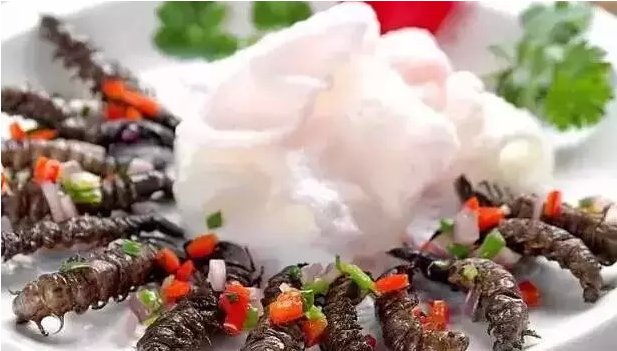 美国东京热高清图片