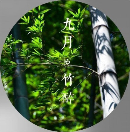 14958067_980x1200_0.png