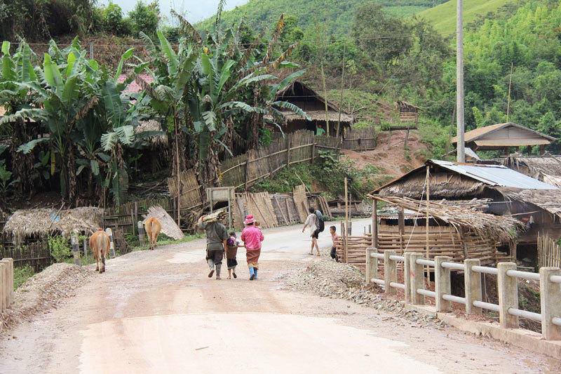 老挝红酸枝_老挝人口数量