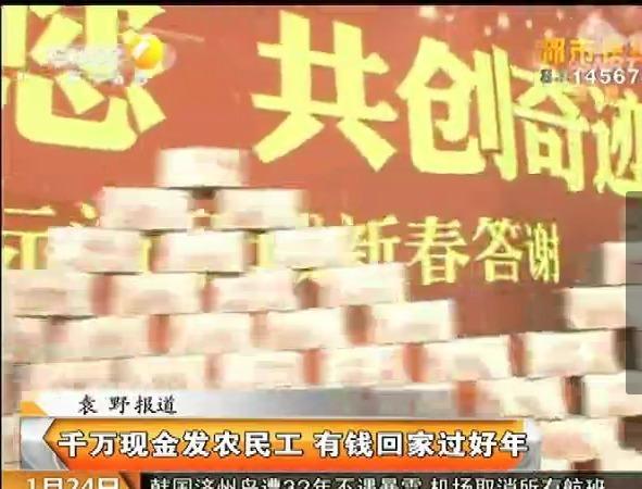 收入证明_农民现金收入(3)
