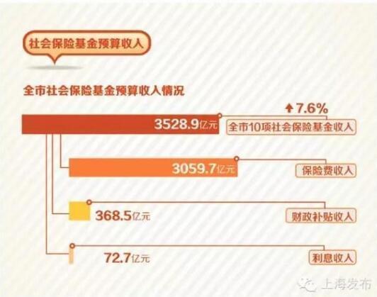 收入证明_社会保险基金收入