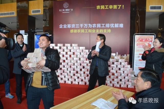 收入证明_湖北 农民收入 2017(3)