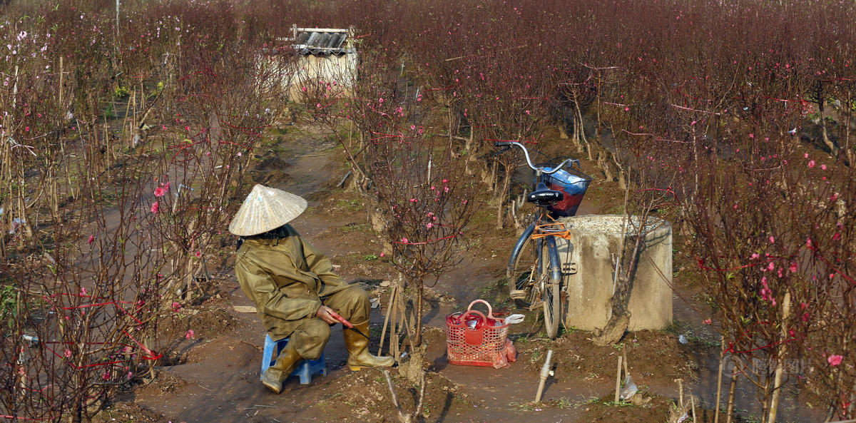 文章配图