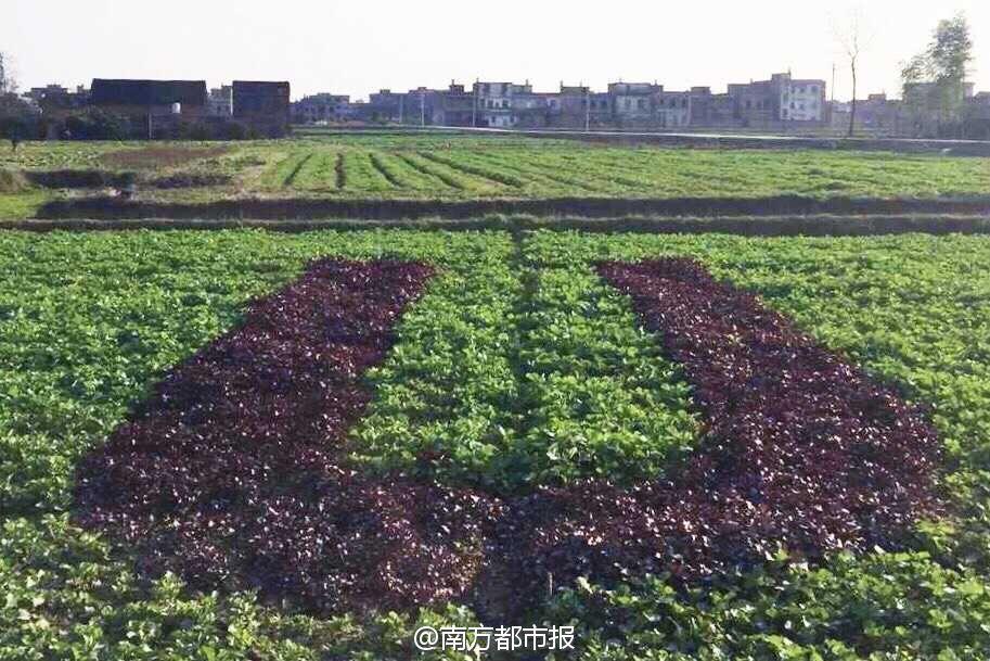 文章配图