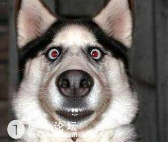 哪些电子厂是8小时,3班倒的或者哪个电子厂女