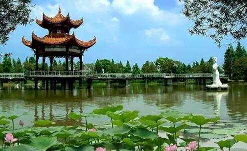 潜江油焖大虾_2015年潜江gdp